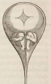 Etude049-13-B